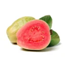 Guava Ruby Red Flesh From South Canada—1Kg